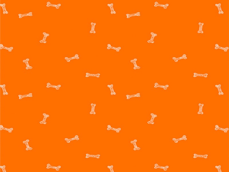 Tissu Art Gallery Fabrics Oh Woof, Breakfast hour, x10cm dans ART GALLERY FABRICS par Couture et Cie