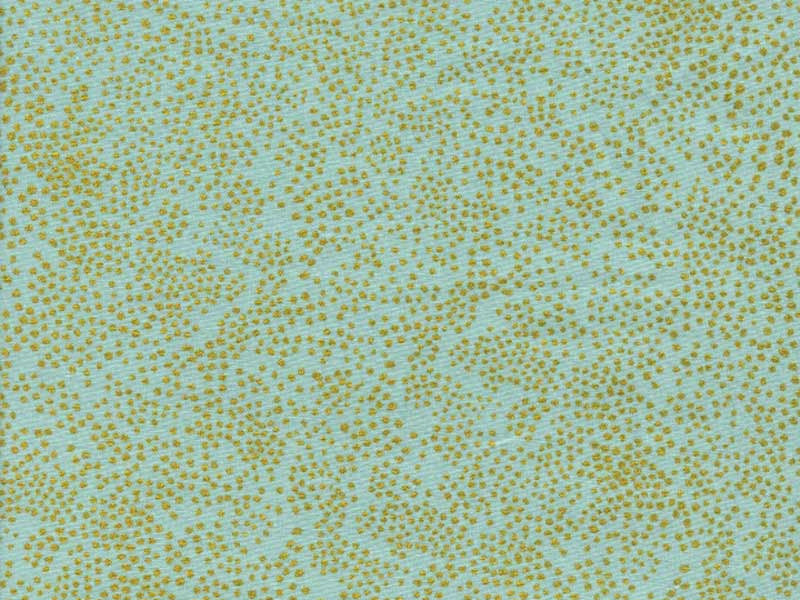 Tissu Rifle paper Menagerie Champagne Mint Metallic x10cm dans COTTON + STEEL par Couture et Cie