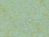 Tissu Rifle paper Menagerie Champagne Mint Metallic x10cm dans COTTON + STEEL par Couture et Cie