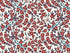 Tissu Liberty Empress, coupon 115x137cm dans Tissus LIBERTY OF LONDON par Couture et Cie
