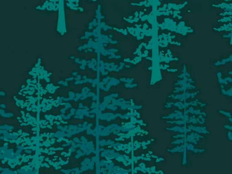 Tissu Art Gallery Fabrics Fusion Foresta Arbres, x10cm dans ART GALLERY FABRICS par Couture et Cie