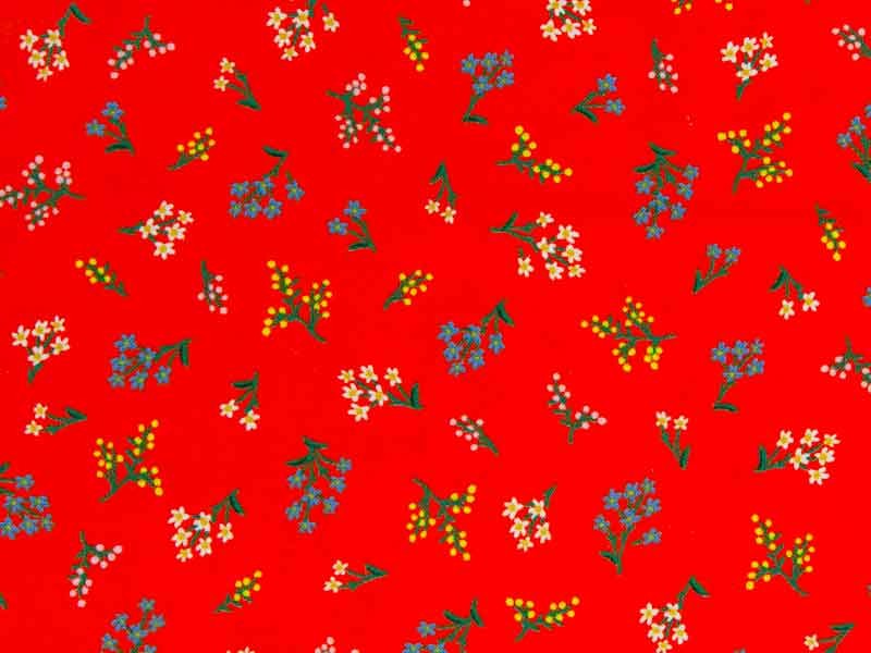 Tissu Rifle Paper Strawberry Fields rouge, x10cm dans Rifle Paper Co par Couture et Cie