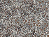 Tissu Art Gallery Fabrics Boscage Graou, x10cm dans ART GALLERY FABRICS par Couture et Cie