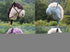 FICHE CHEVAL BATON dans Fiches Jouets par Marotte et Cie